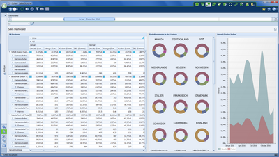 Vertriebscontrolling-Software das Sales-Dashboard
