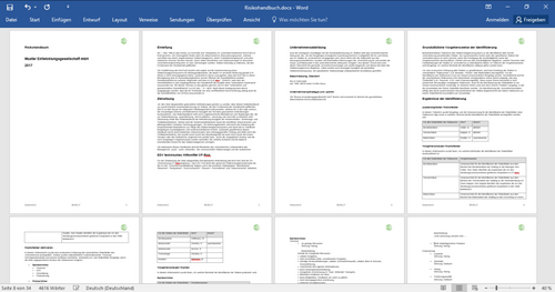 Komfortabel Risikohandbücher in Word erstellen mit der Risikomanagement-Software