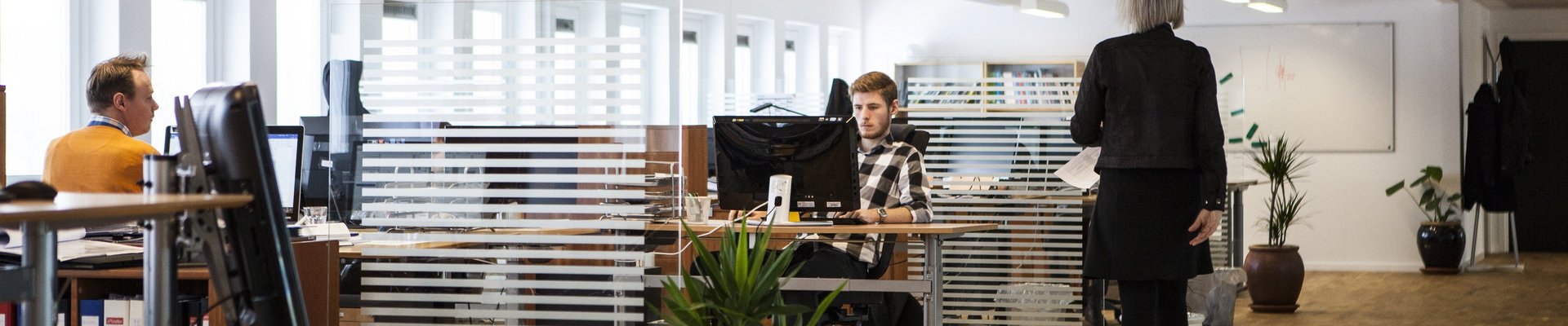 Ein großraum Büro mit mehreren Schreibtischen, Pflanzen und Menschen