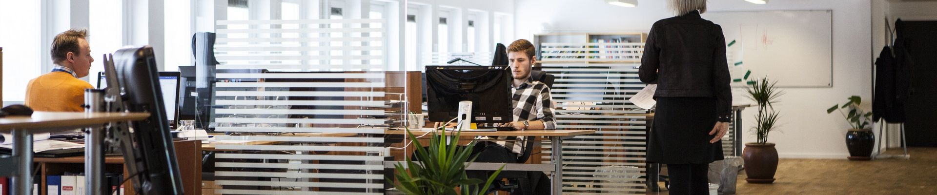 Ein großraum Büro mit mehreren Schreibtischen, Pflanzen und Menschen