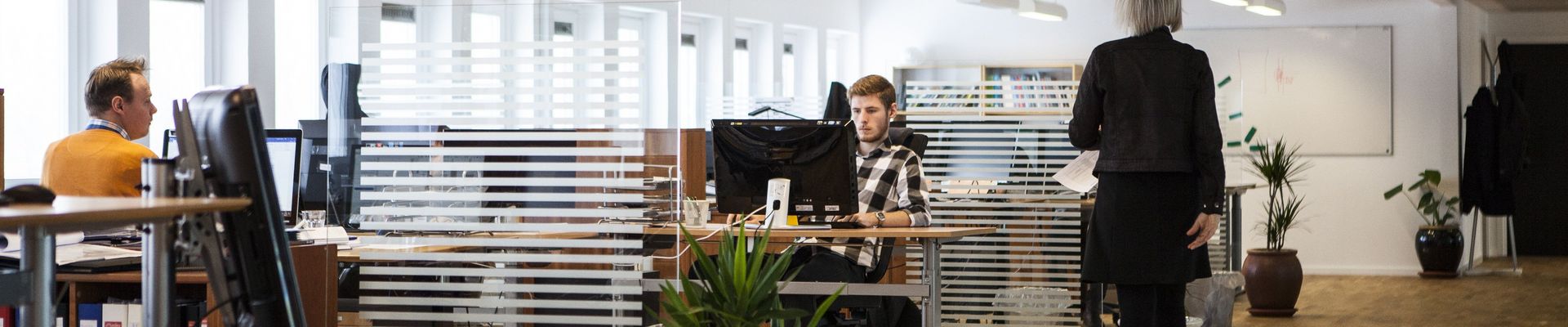 Ein großraum Büro mit mehreren Schreibtischen, Pflanzen und Menschen