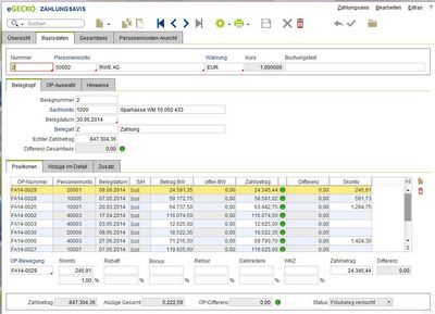 eGecko Finanzbuchhaltung Zentralregulierer und Zahlungsavis Softwaremaske- Hetkamp GmbH