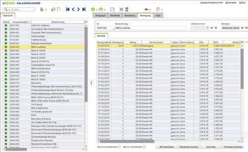 eGecko Finanzwesen-Software Anlagennummern Übersichtsmaske - Hetkamp GmbH