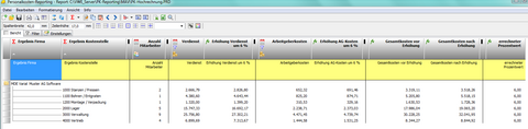 Ein Report aus dem Personalkostenreporting der Varial Personalwesen-Software