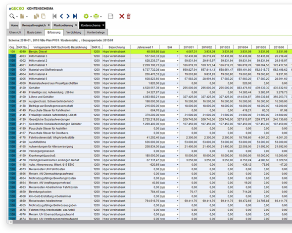 In der eGECKO Controlling Software Kosten, Erlöse und Investitionen auf Kostenstellen planen